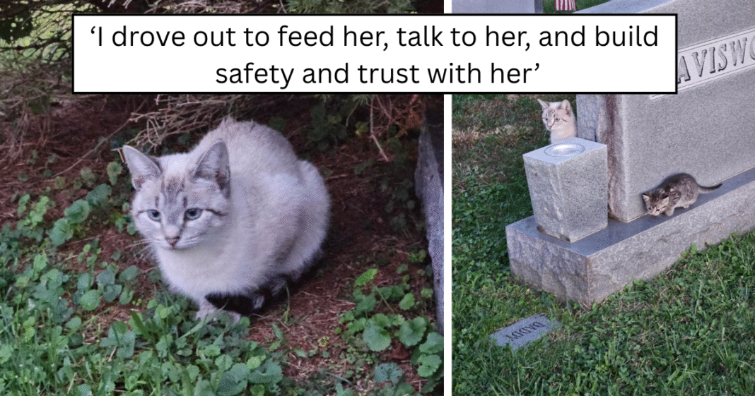 She-landed-through-her-uncomfortableness-and-gave-me-a-chance.png