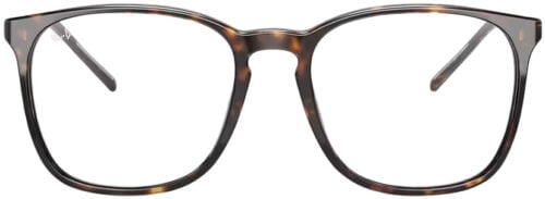 Ray-Ban RB5387 Optics
