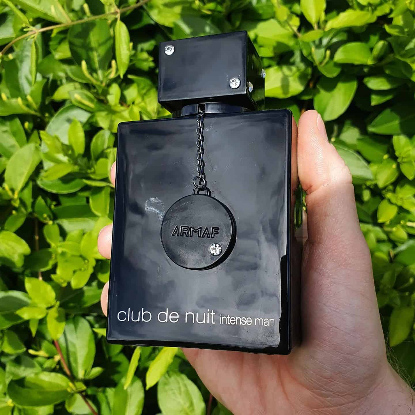 holding a bottle of armaf club de nuit intense man cologne